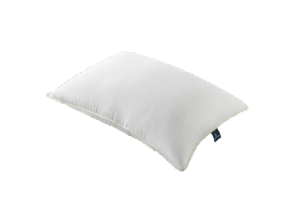 Aloevera Pillow