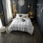 Couette blanche Malabata C+++ + oreiller offert